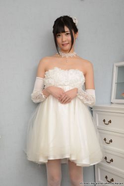 杨门女将电视剧